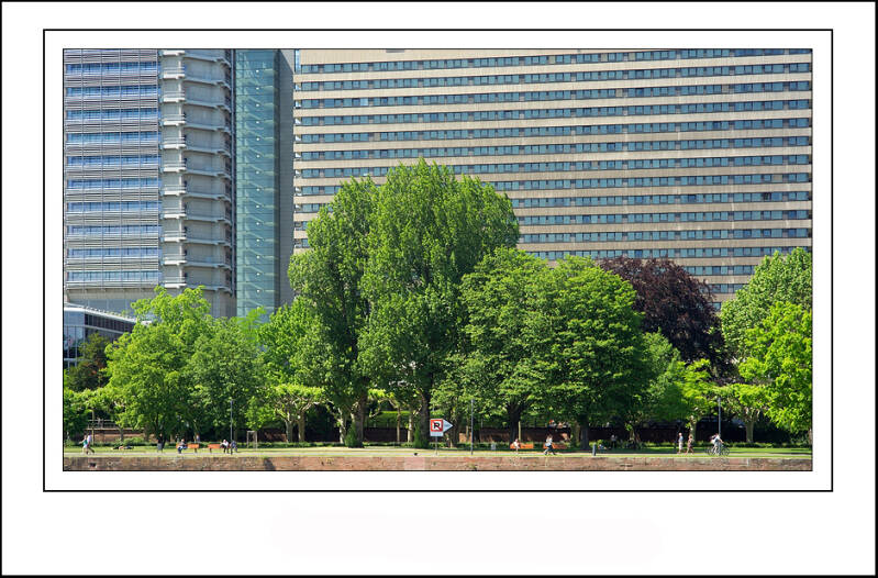 dsc02135sf-standard-gmsggs.jpg