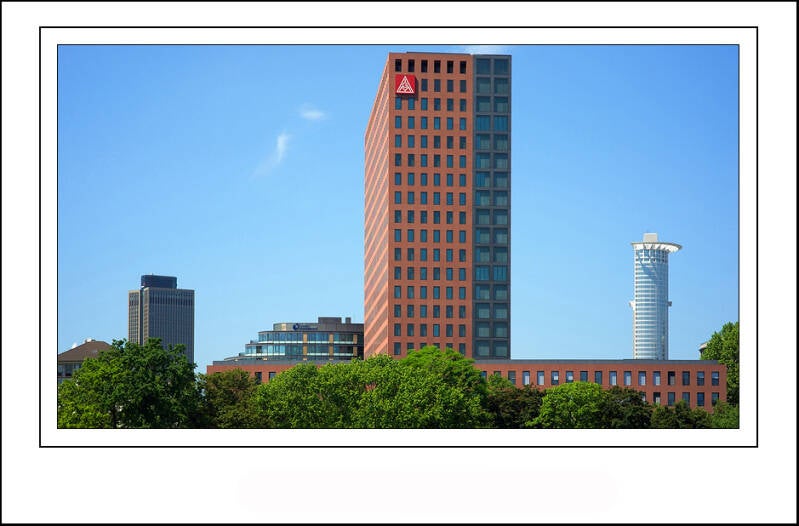 dsc02154sf-standard-qnok08.jpg