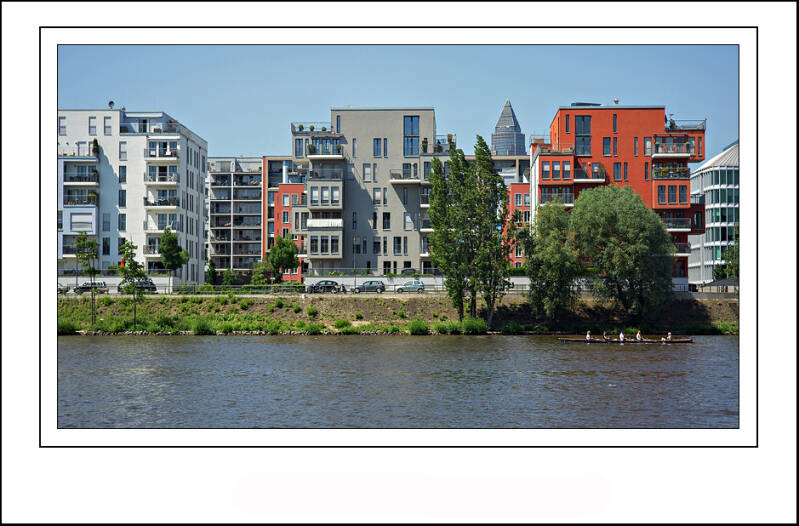 dsc02169sf-standard-zymell.jpg