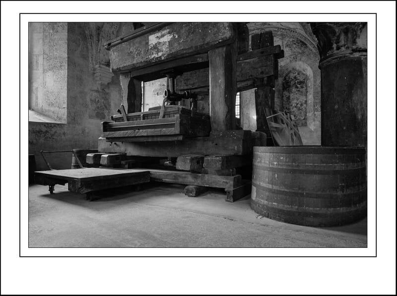 dsc02649-2sf-standard-mdjiut.jpg