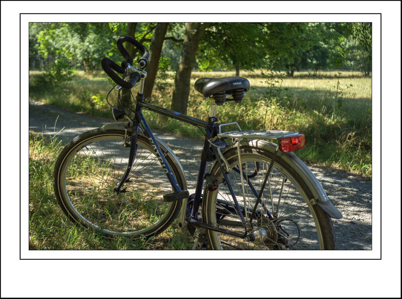 dsc05128sf-standard-y8xjpg.jpg