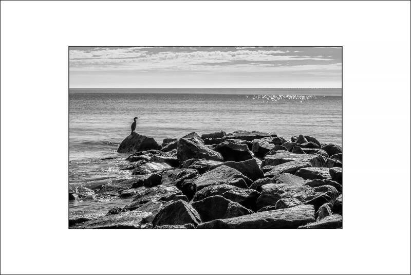 dsc_2455b-standard-pro70u.jpg