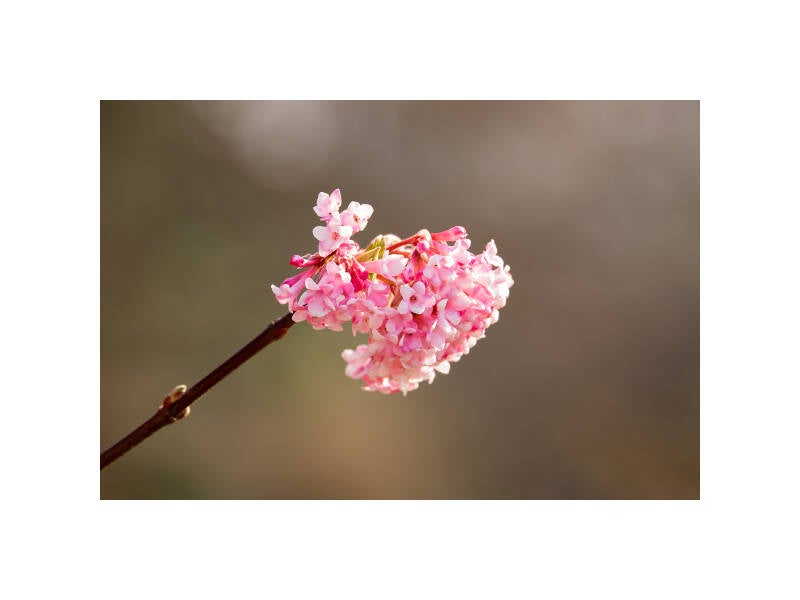 dscf0076f-standard-yi2ddf.jpg