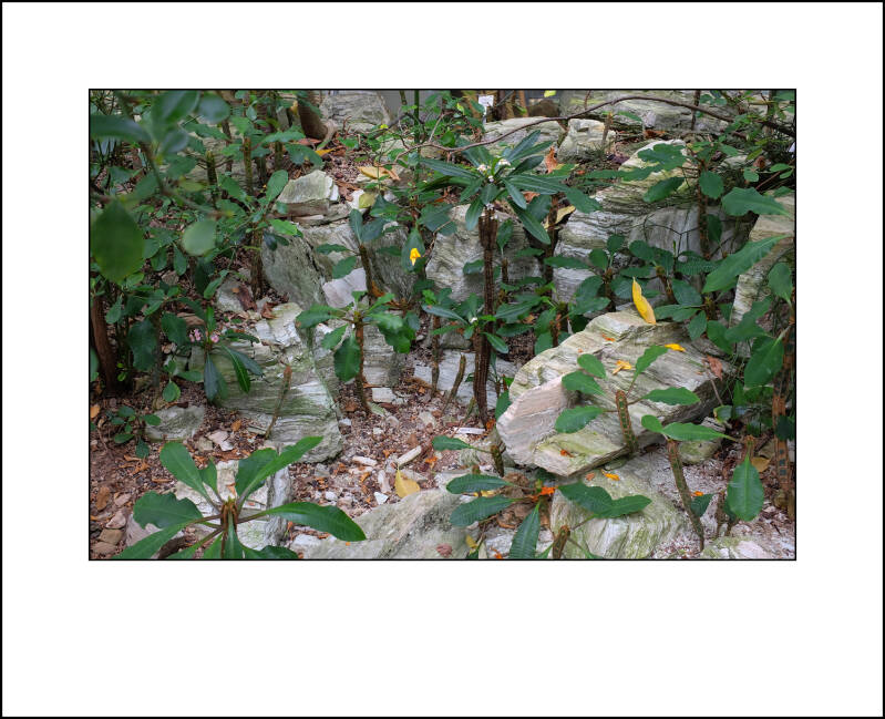 dscf0109f-standard.jpg