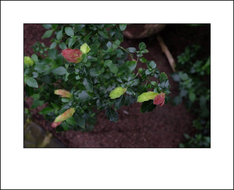 dscf0157f-standard.jpg