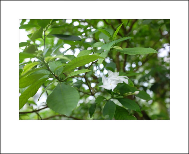 dscf0160f-standard.jpg