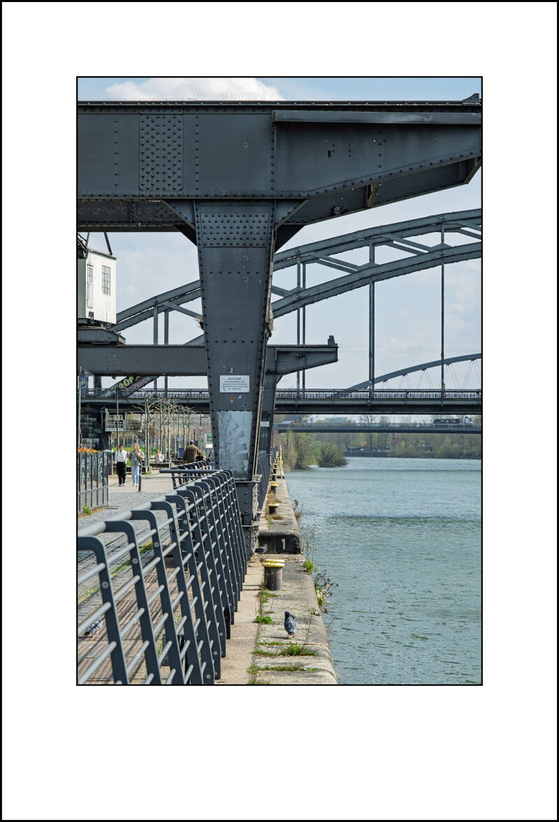 dscf0165f-standard.jpg