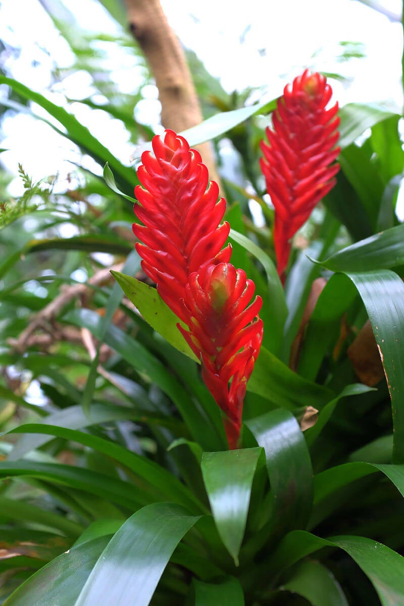 dscf0179-standard.jpg