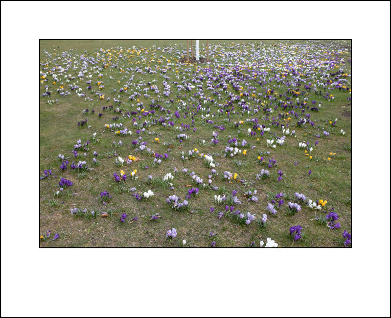 dscf0280f-standard.jpg