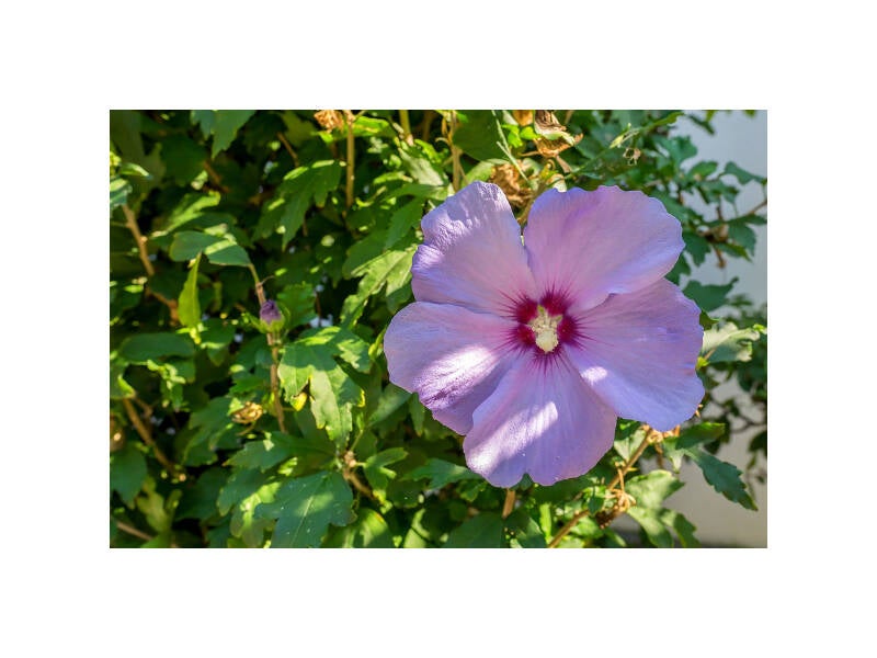 dscf0297f-standard.jpg