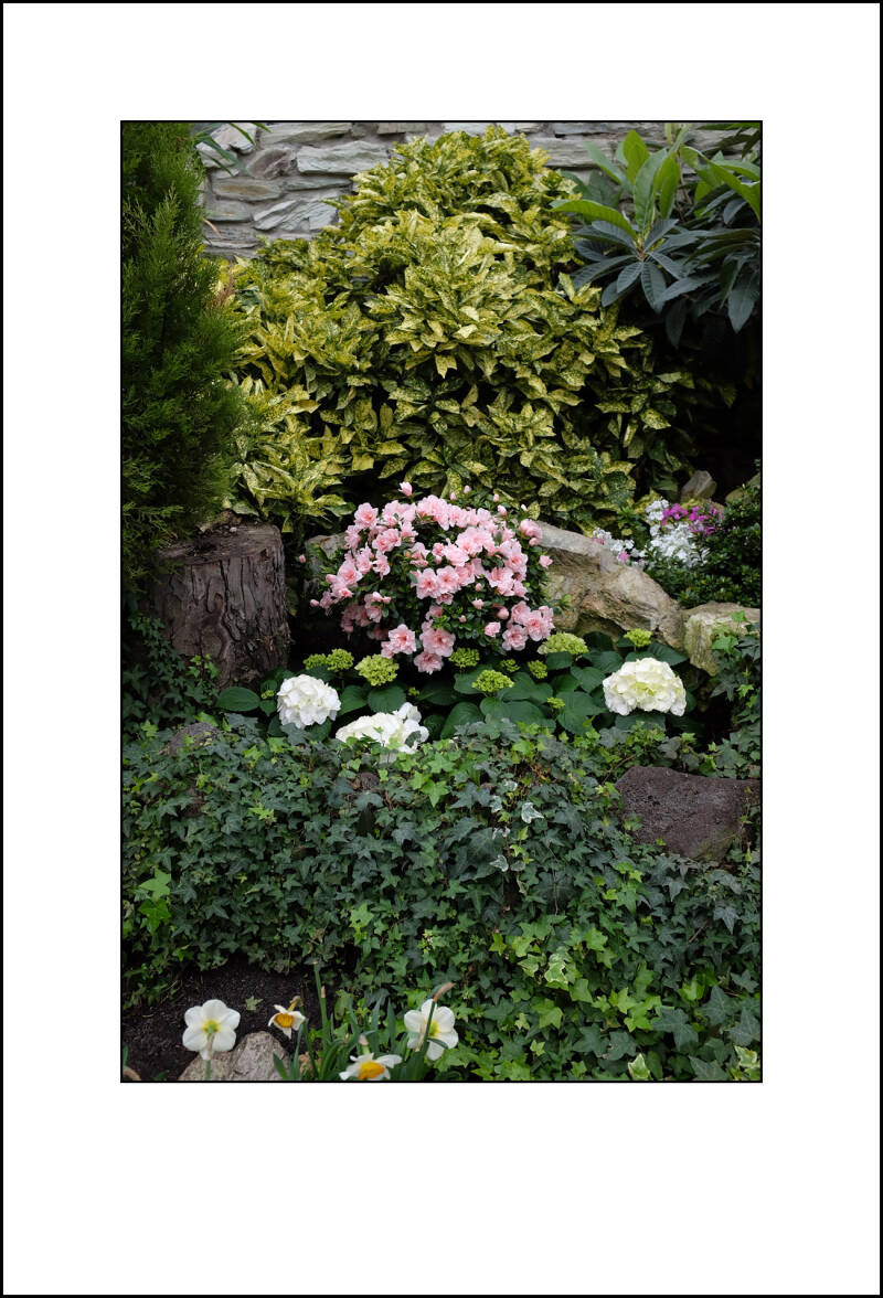 dscf0298f-standard.jpg