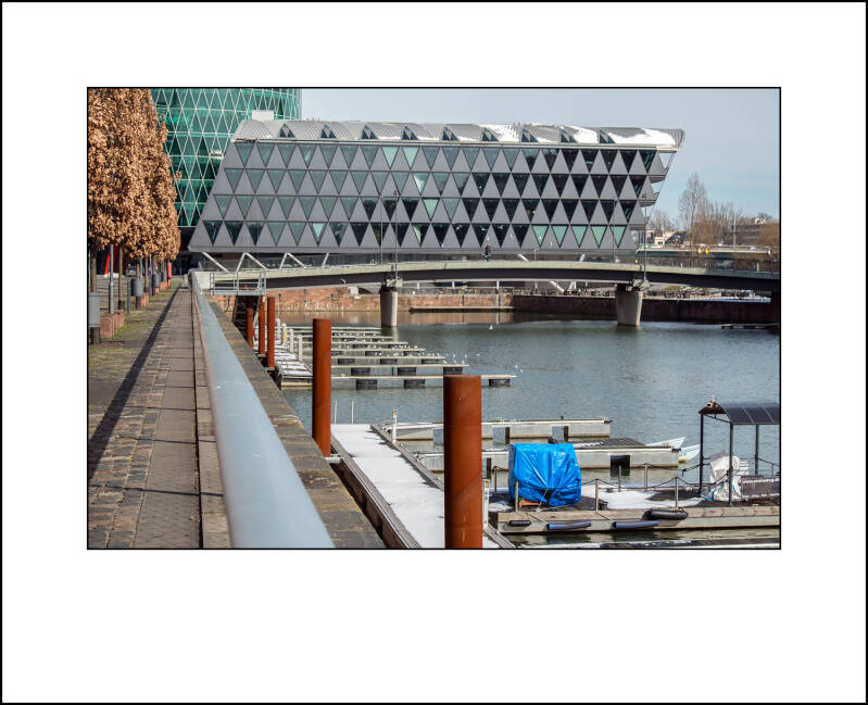 dscf0316f-standard-59rd3d.jpg