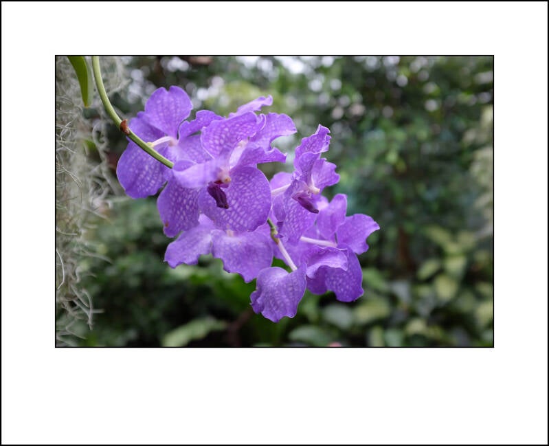 dscf0316f-standard.jpg