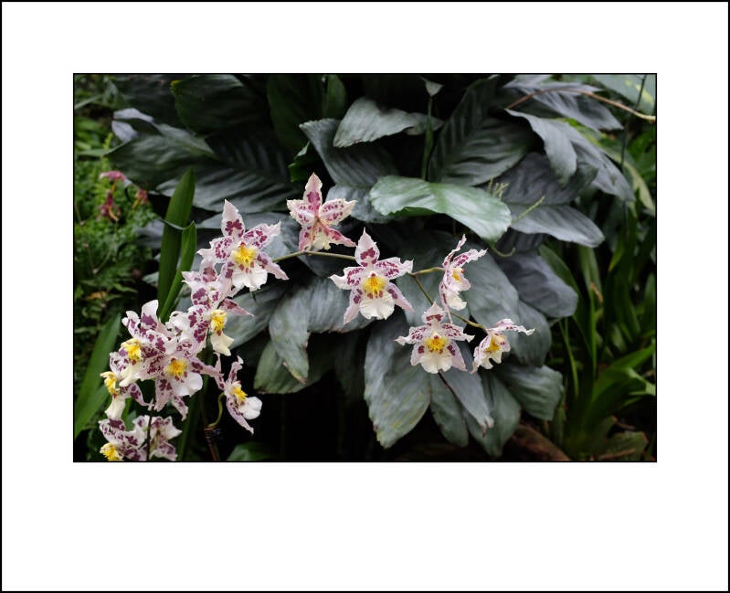 dscf0326f-standard-uqde0m.jpg