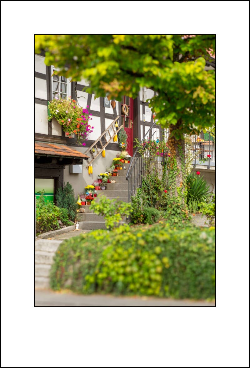 dscf0328f-standard-yctyf5.jpg
