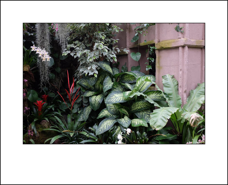 dscf0340f-standard.jpg