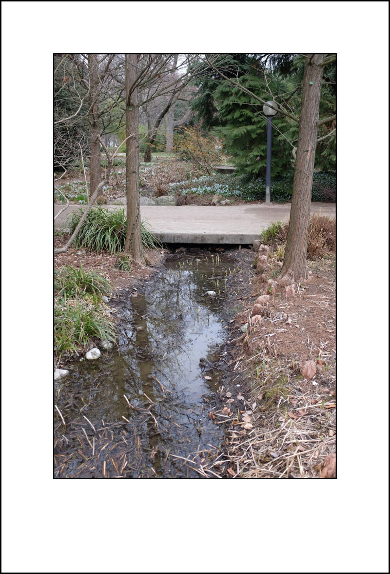 dscf0351f-standard.jpg