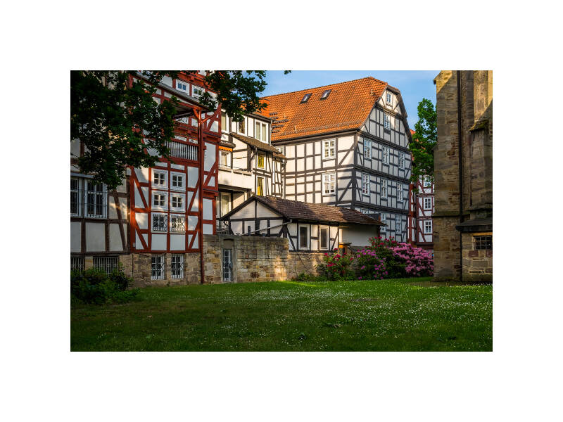 dscf0354f-standard-rzuomt.jpg