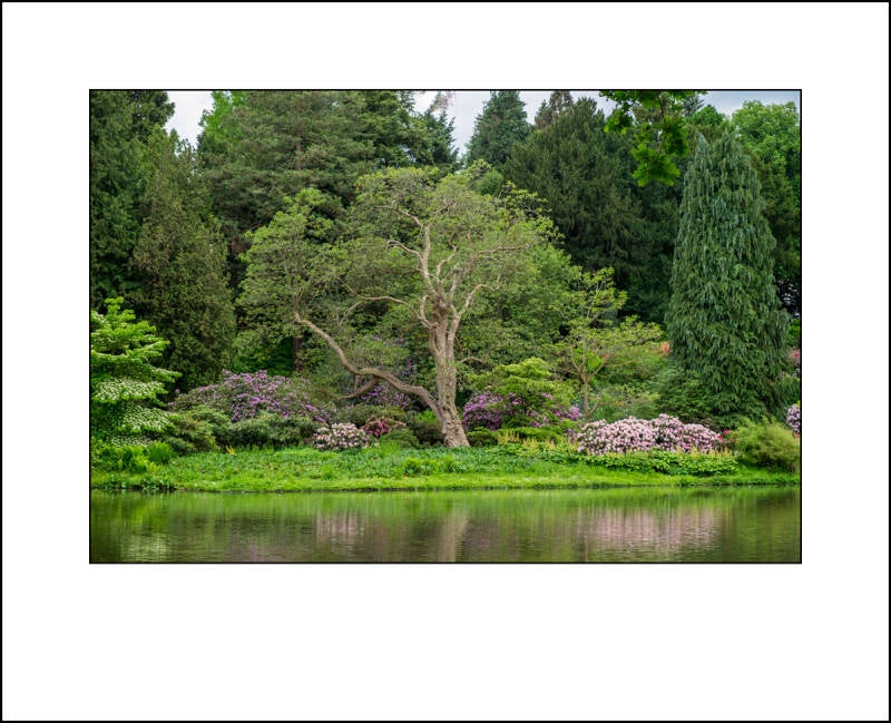 dscf0472f-standard-pqrkj4.jpg