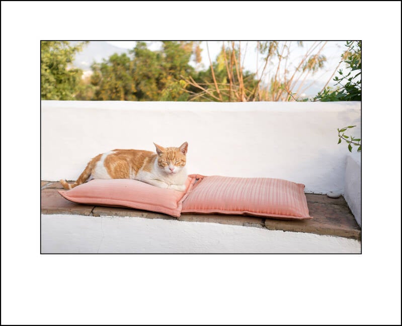 dscf0515f-standard.jpg