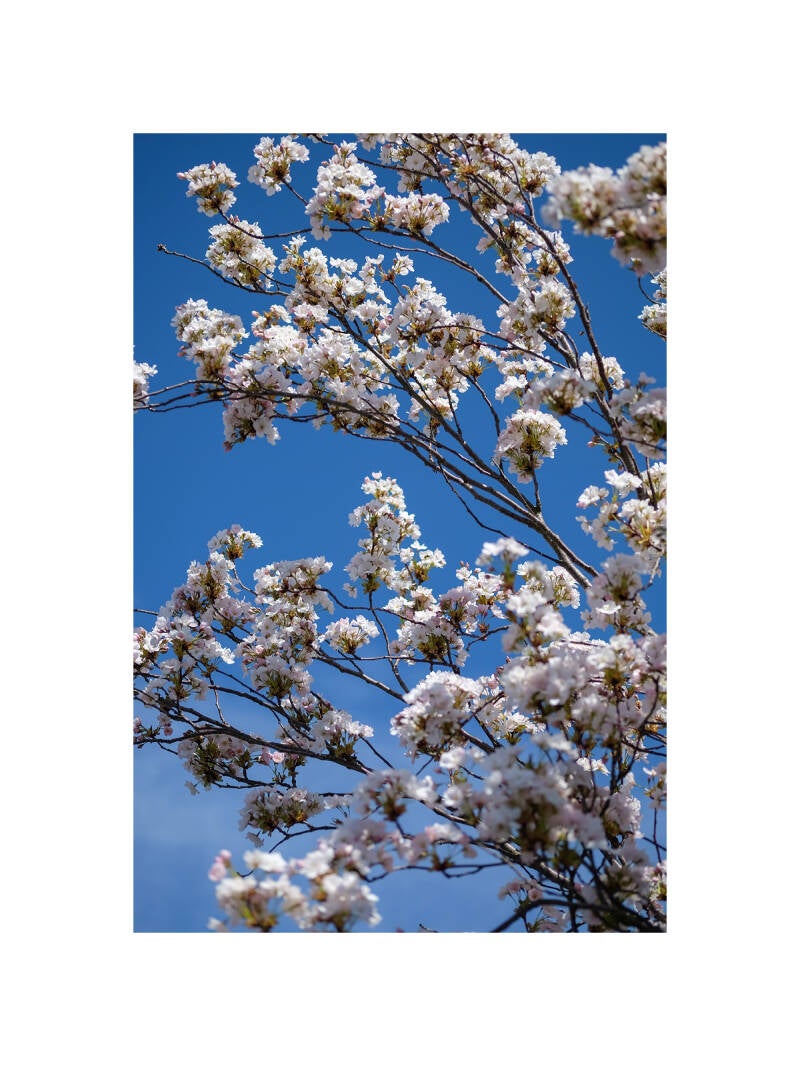 dscf1144f-standard.jpg