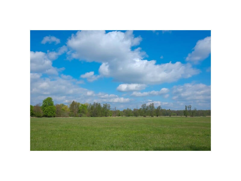 dscf1762f-standard.jpg