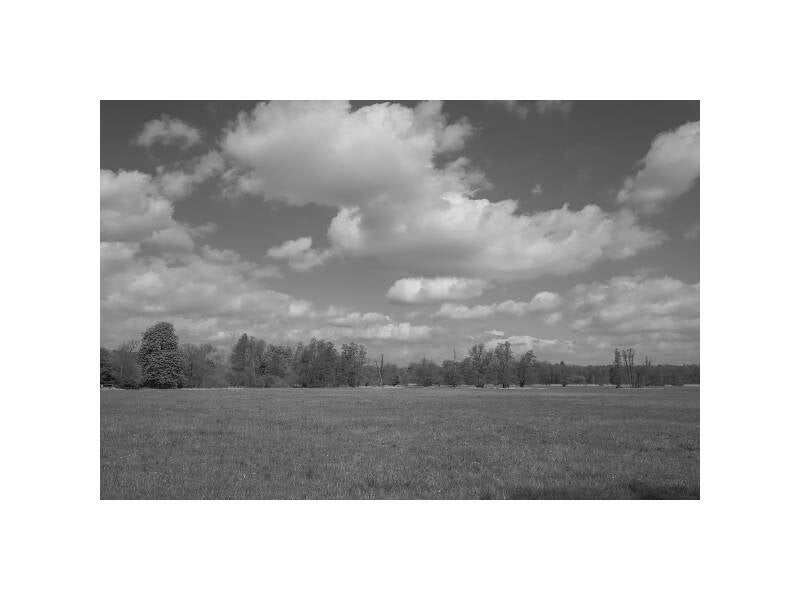 dscf1764f-standard.jpg