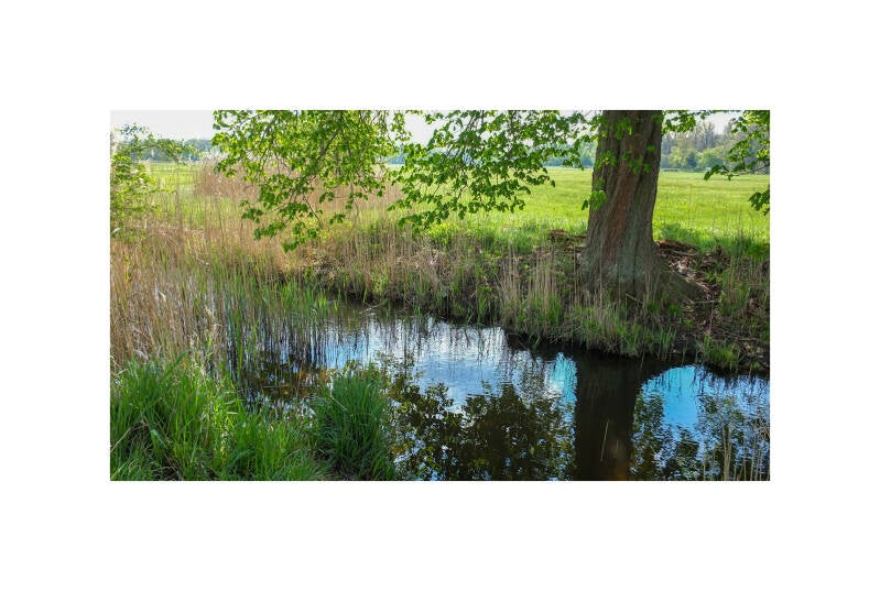 dscf1765f-standard.jpg