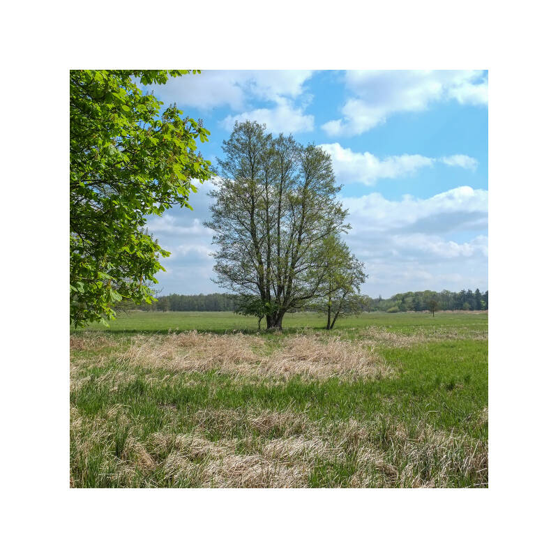 dscf1777f-standard.jpg