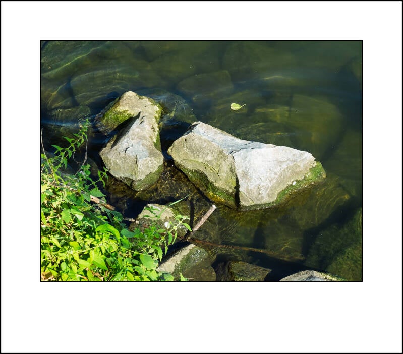 dscf3794f-standard.jpg