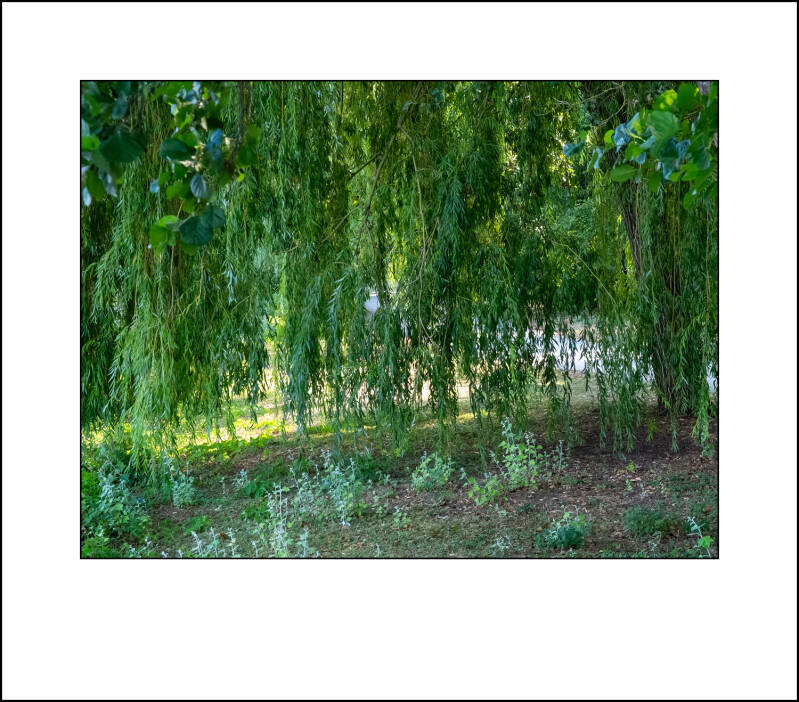 dscf3816f-standard.jpg