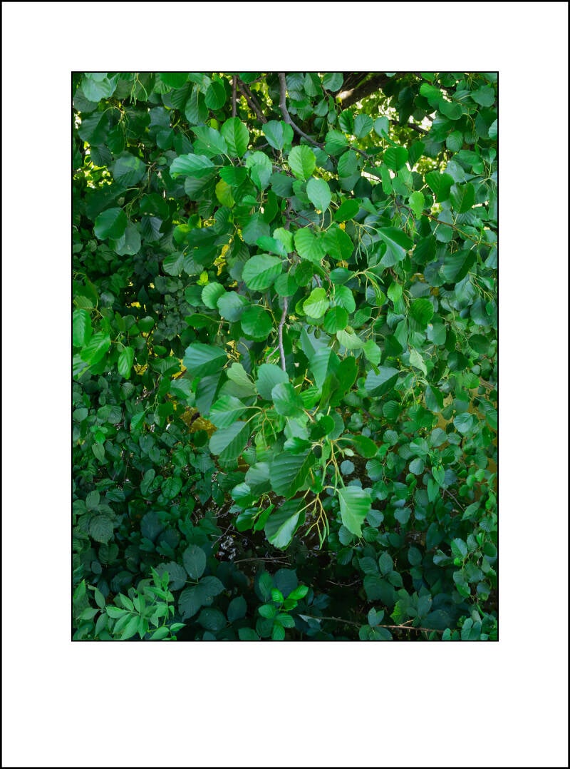 dscf3824f-standard.jpg