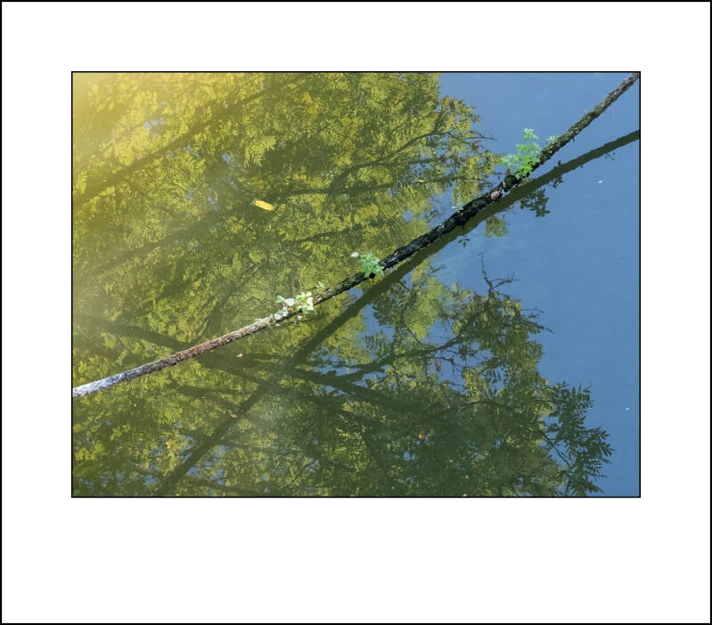 dscf4892f-standard.jpg
