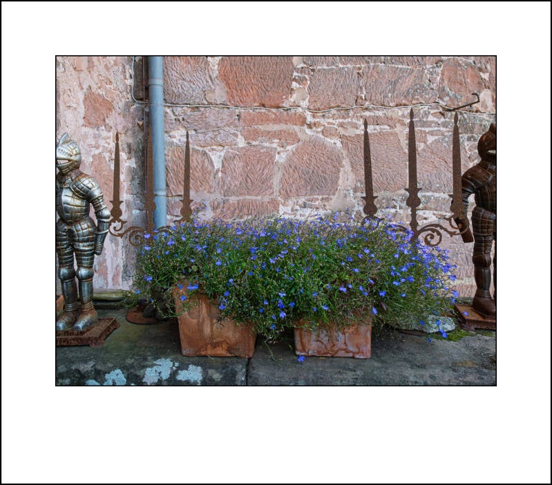 dscf5009f-standard.jpg