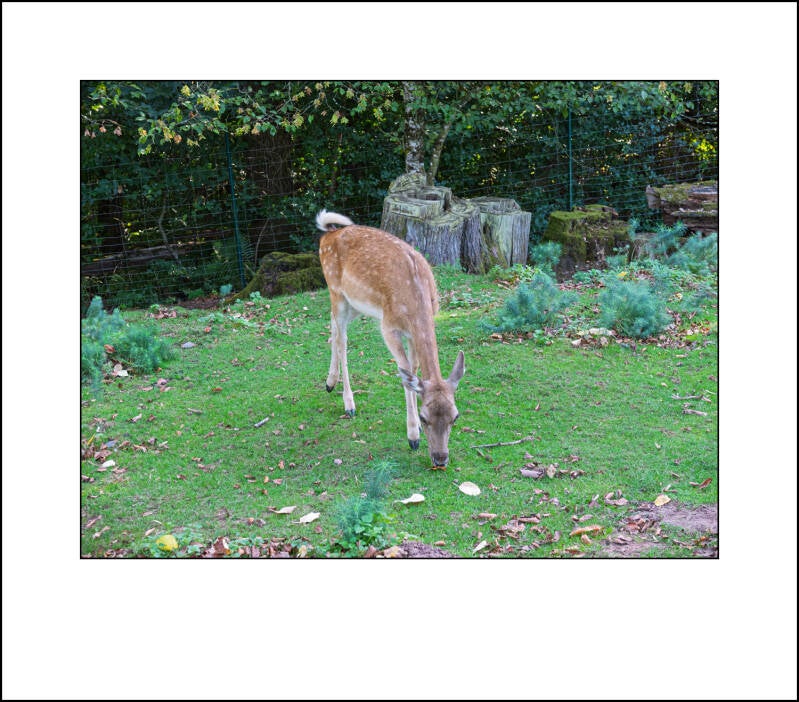 dscf5073f-standard.jpg