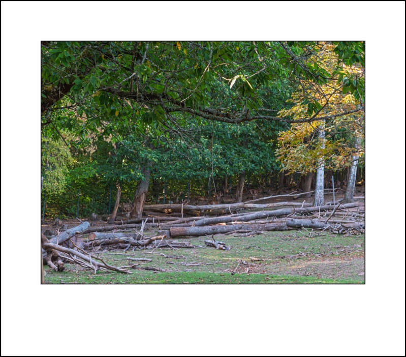 dscf5076f-standard.jpg