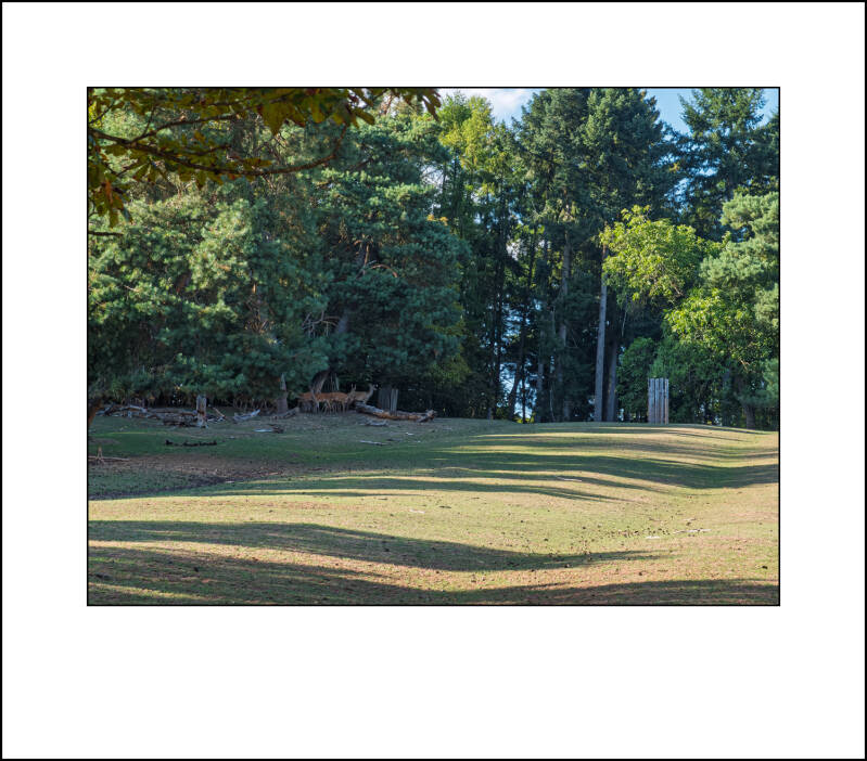 dscf5078f-standard.jpg