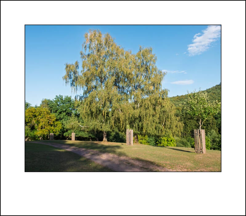 dscf5088f-standard.jpg