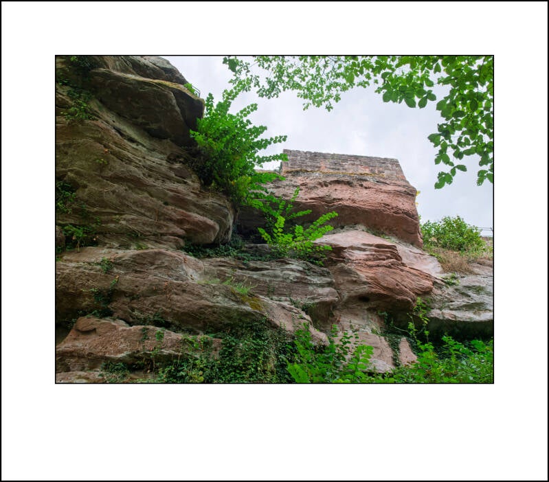 dscf5098f-standard.jpg