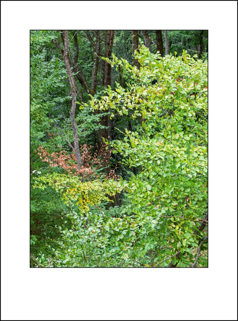 dscf5124f-standard.jpg