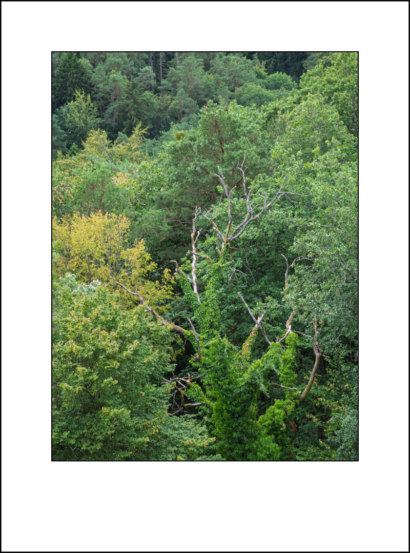 dscf5147f-standard.jpg
