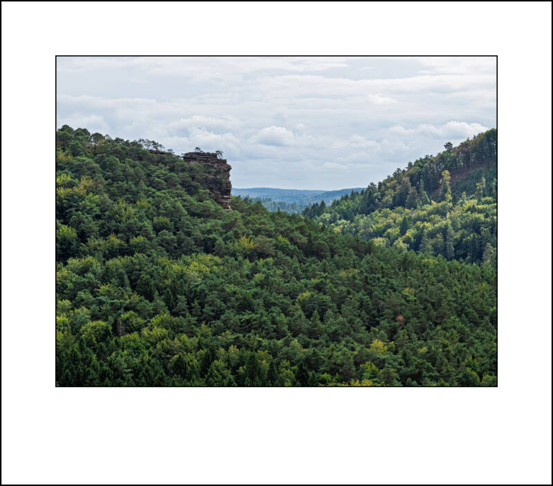 dscf5158f-standard.jpg