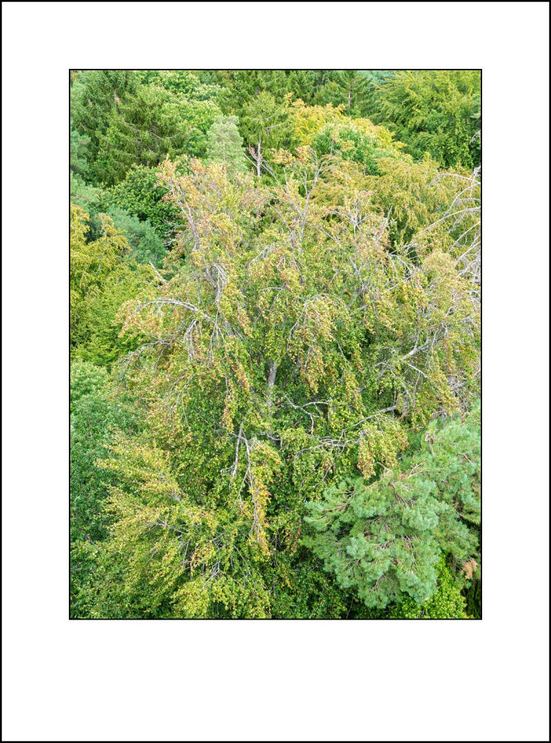 dscf5159f-standard.jpg