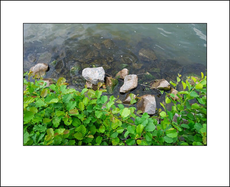 dscf5489f-standard.jpg