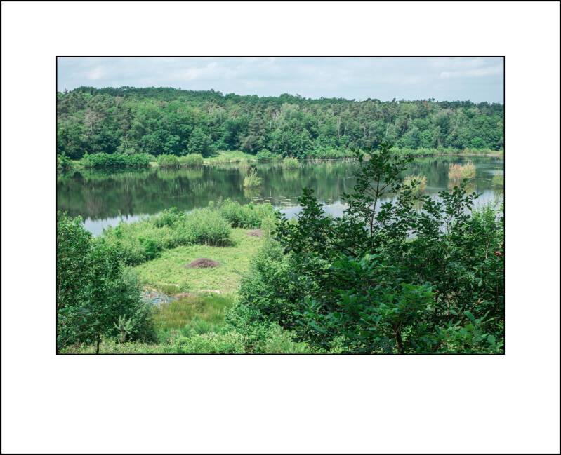 dscf8028f-standard.jpg
