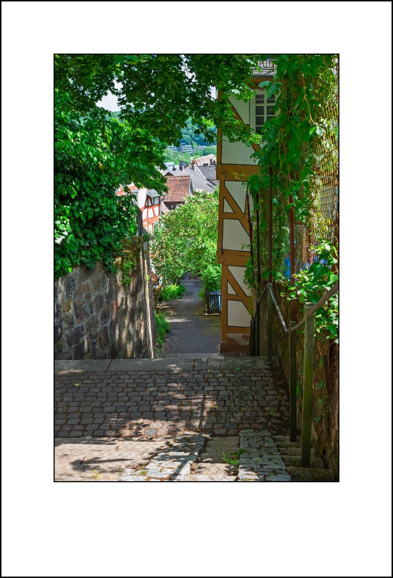 dscf8079f-standard.jpg