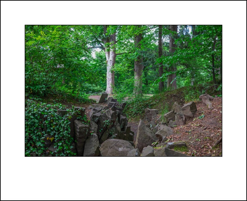 dscf8116f-standard.jpg