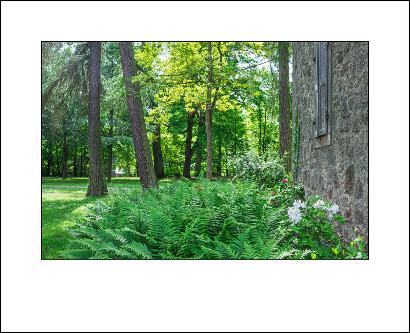 dscf8129f-standard.jpg