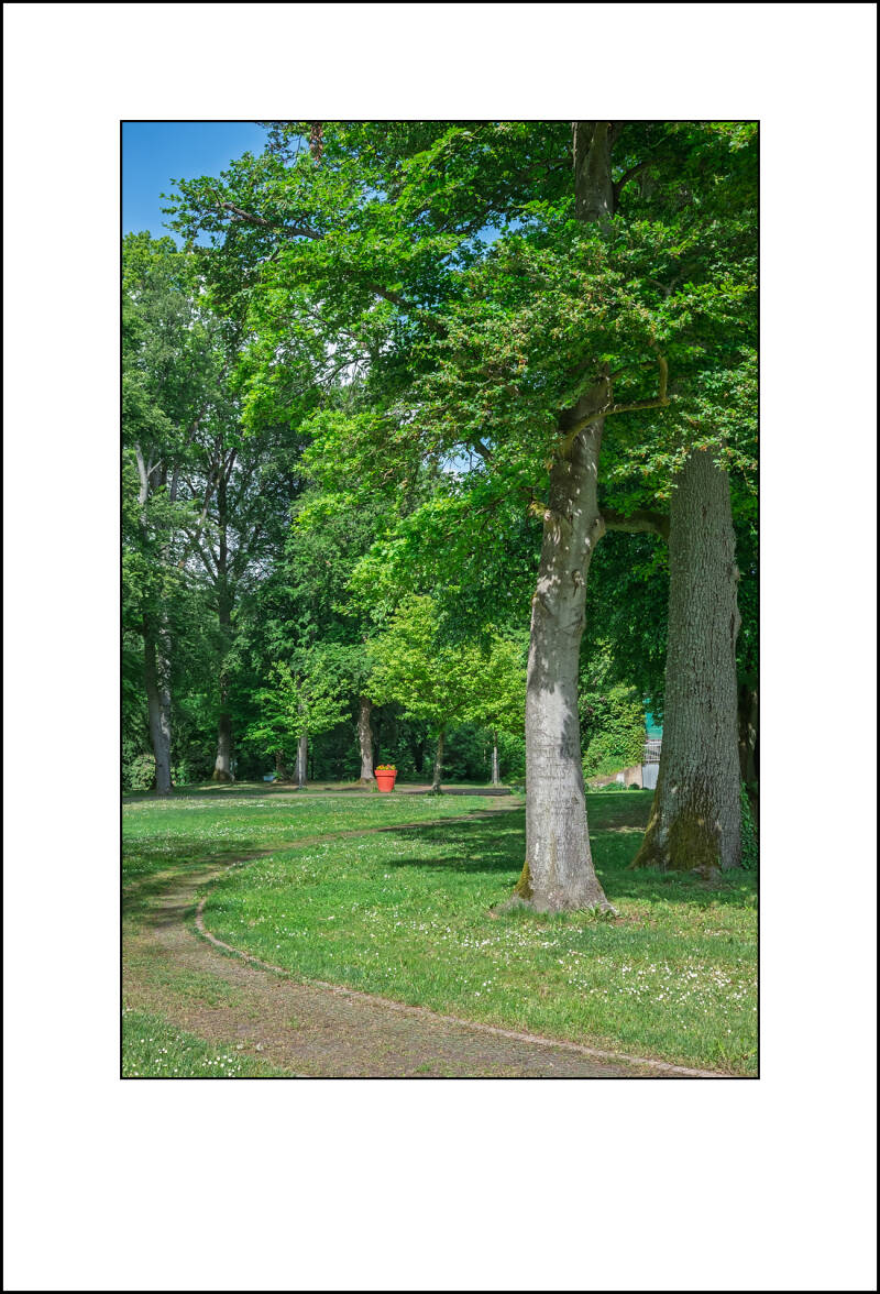 dscf8131f-standard.jpg