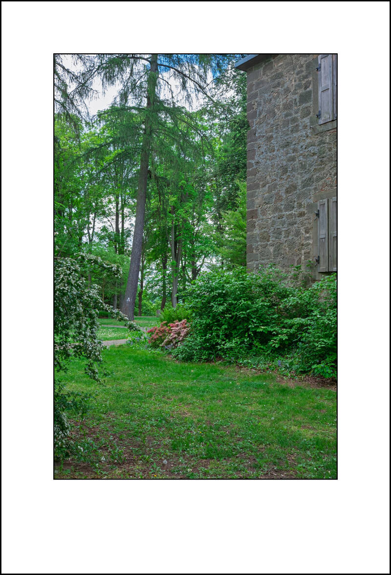 dscf8133f-standard.jpg